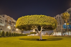 dubaibig07