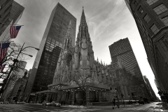 newyorkbig14